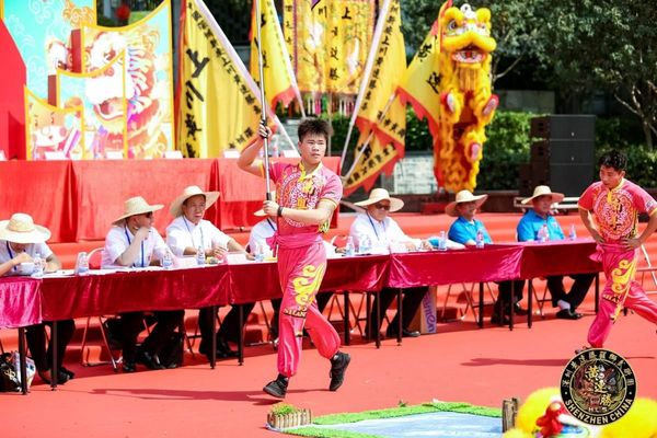 深圳红树杯-金狮奖